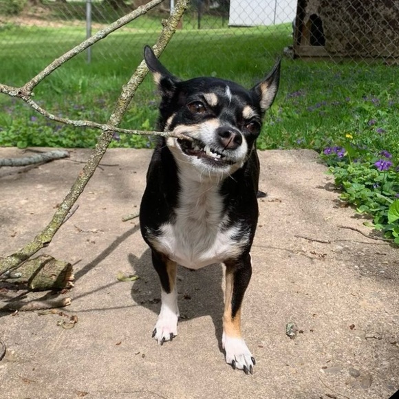 Meet your Posher, Scott - Picture 3 of 3